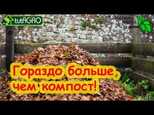 ГОРАЗДО БОЛЬШЕ и ЛУЧШЕ, ЧЕМ КОМПОСТ! ИЗ ЛИСТЬЕВ ГОТОВИМ ЦЕННЫЙ ПРОДУКТ! Главное - не упустить время!