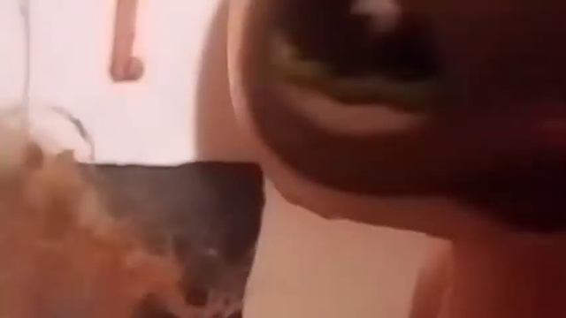 Lps фильм: Любовь (читаем описание перед тем как посмотреть ролик!) смотреть онлайн