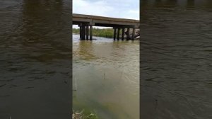 Рыбалка в Дагестане весенний сазан 2020