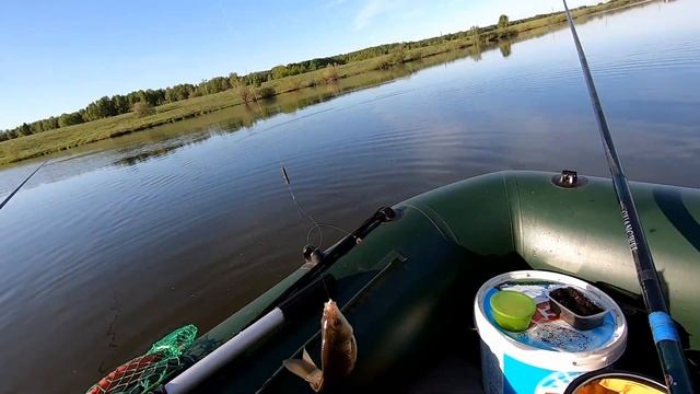 Рыбалка. Рыба на каждом забросе.База отдыха и водоём полный рыбы. смотреть онлайн
