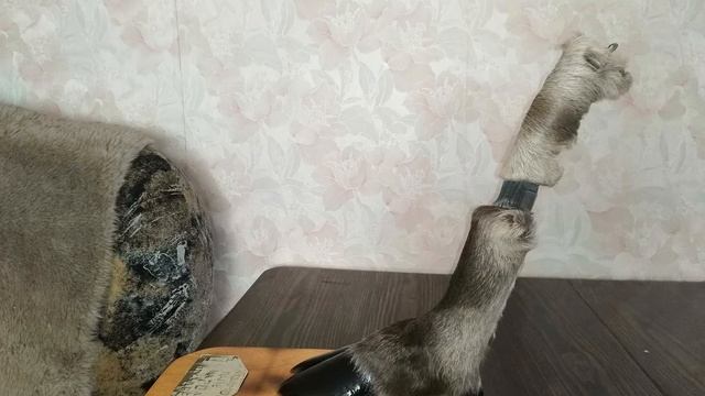 СУВЕНИР ИЗ НОГИ ЛОСЯ №4 смотреть онлайн