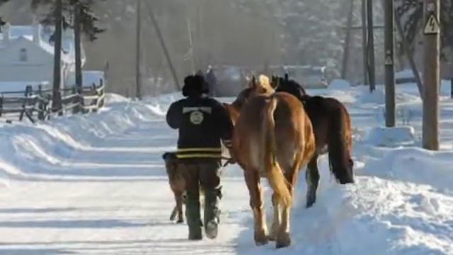 Валаам зима 2007 Вертолёты кони люди