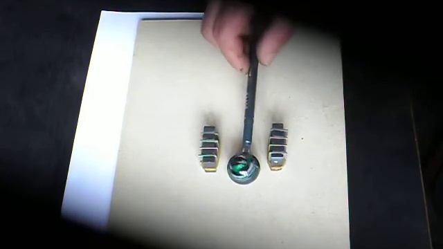 SDC13694эффект Джанибекова на земле