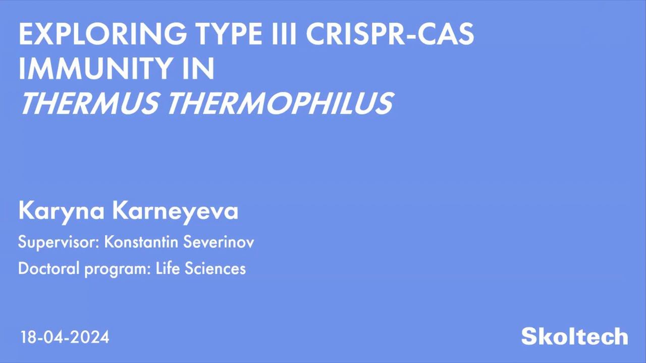 PhD Thesis Defense Karyna Karneyeva смотреть онлайн