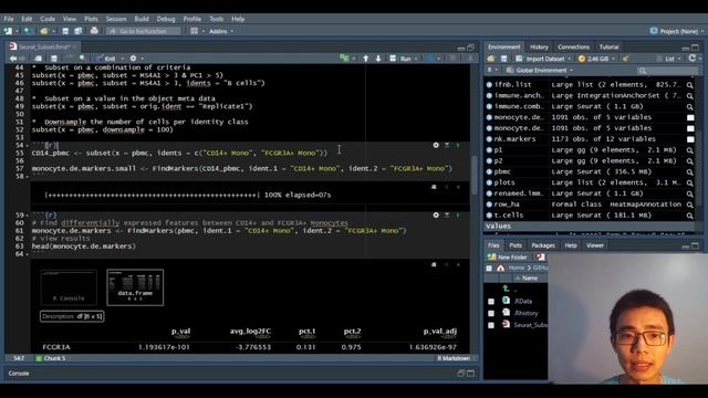 Subset Clusters In Seurat