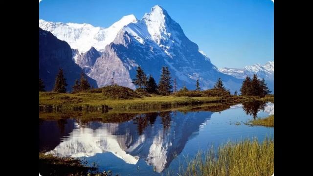 Фотографии живой природы(Pictures Of Wildlife)