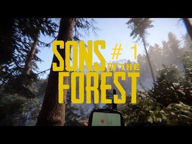 (PC) НОВЫЙ ФОРЕСТ➤ Sons Of The Forest ◉ Прохождение #1 смотреть онлайн