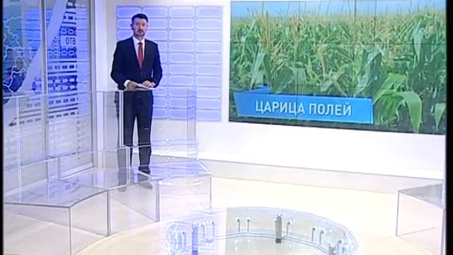 Приморские аграрии активно засевают поля кукурузой смотреть онлайн