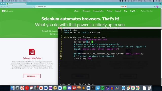 Bypassing CAPTCHAs Manually in Selenium | Web Automation Tutorial смотреть онлайн