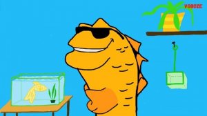 Рыбки одиночки для небольшого аквариума