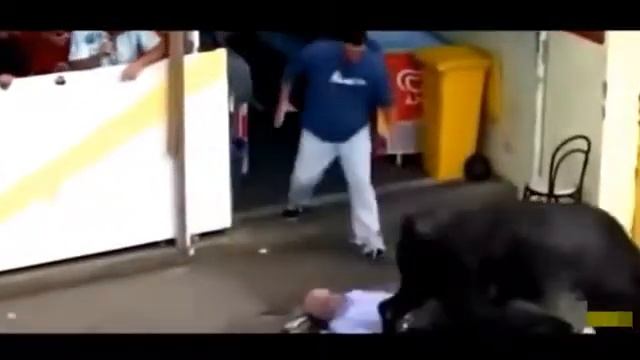 Удивительные Быков Бой Быков Несчастных Случаев, Когда Животные Нападают На Людей б смотреть онлайн