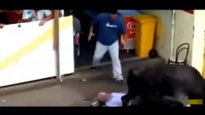 Удивительные Быков Бой Быков Несчастных Случаев, Когда Животные Нападают На Людей б