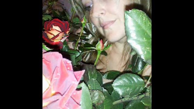 С праздником дорогие девушки !!! смотреть онлайн