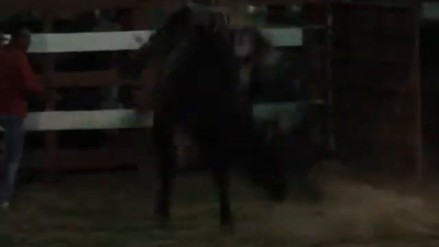 Toro El Brindis-Herbert Matarrita смотреть онлайн