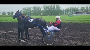 Конные бега Открытие сезона Курский ипподром 2024