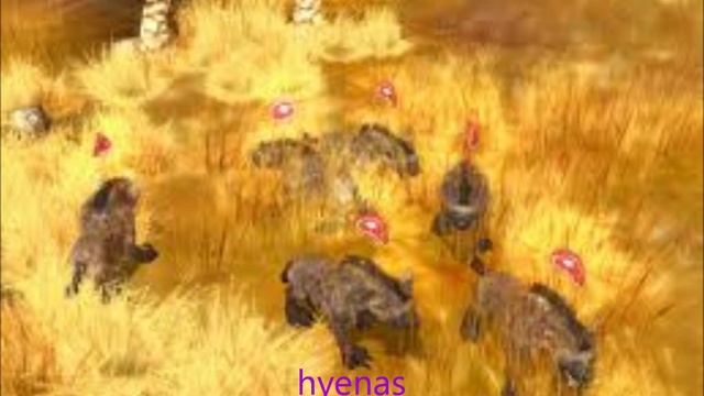 wildlife camp vid 1 смотреть онлайн