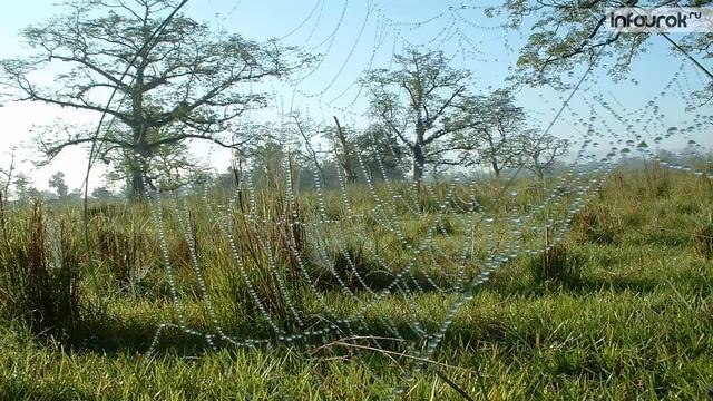 Единицы длины. Километр | Математика 4 класс #17 | Инфоурок смотреть онлайн