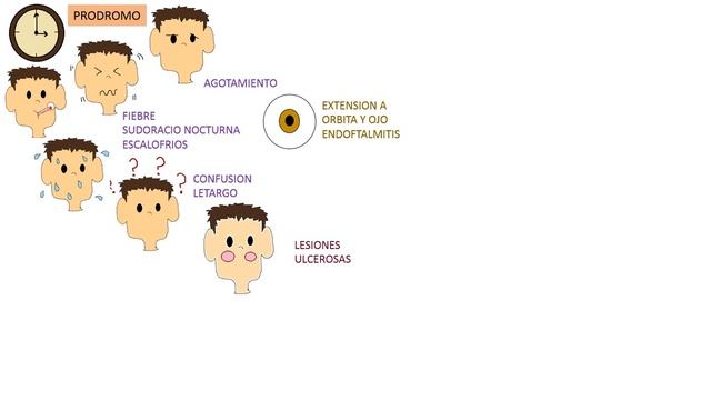 Apergilosis, Aspergillus Fumigatus смотреть онлайн