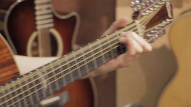 Fame J20 12-String смотреть онлайн