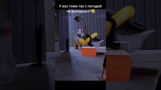 У вас тоже так с погодой на выходных? смотреть онлайн
