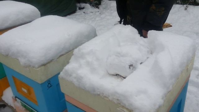 Замена пленки на самодельный экран в ултях Лысонь смотреть онлайн