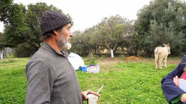 Architect buys village to create alternative living community | Andalusia | 3000 km with donkey смотреть онлайн