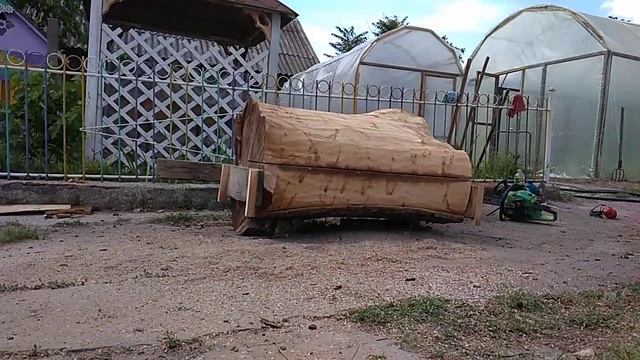 Распил бревна ореха бензопилой, своими руками (таймлапс) смотреть онлайн