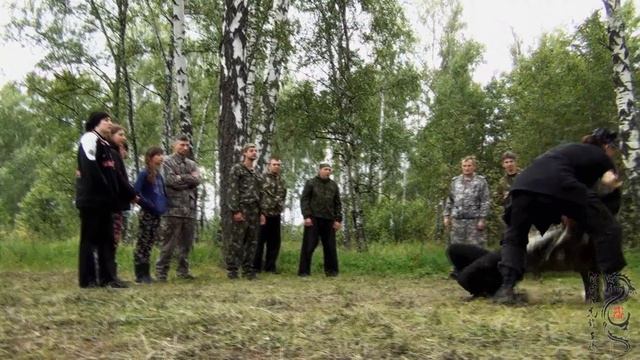 V Летний Лагерь 2016 смотреть онлайн
