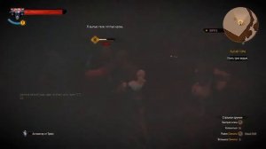 Ведьмак 3 "Как убить ведьм на максимальной сложности?" играя за Цири