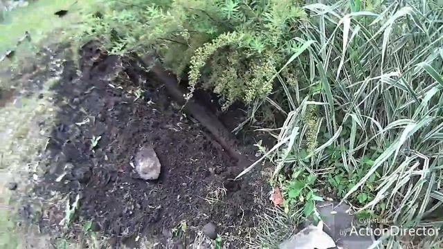 Хобби -- Коп у дома!!! смотреть онлайн