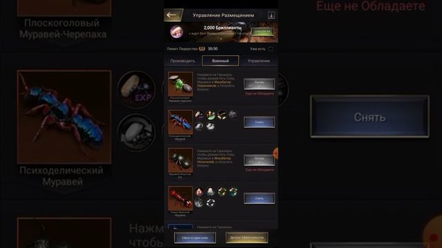 The Ants | ОБЗОР МУРАВЕЙНИКА | The Ants Underground Kingdom