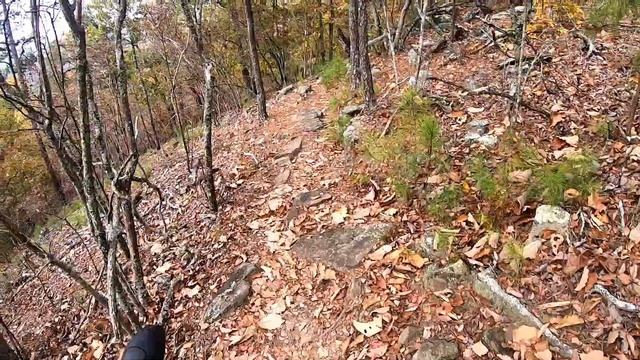 Testing my new pacemaker on the East End Loop trail, Pine Mountain Ga-110923 смотреть онлайн