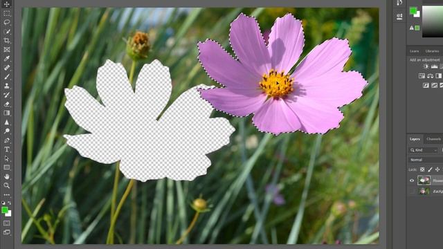 Adobe Photoshop for Beginners Basic tools (Clear Explanation) Part 1 смотреть онлайн