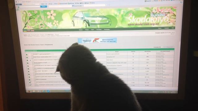 КОТЭ Skoda клуба Киев