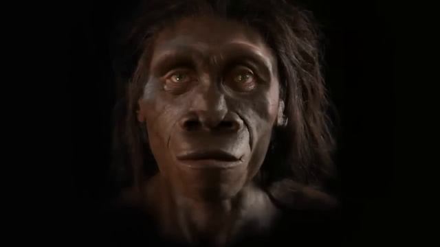 Эволюция человека за одну минуту смотреть онлайн