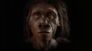 Эволюция человека за одну минуту