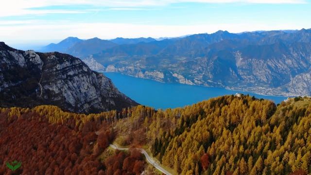 Музыка лечит сердце и сосуды? Успокаивающая музыка восстанавливает нервную систему,расслабляющая