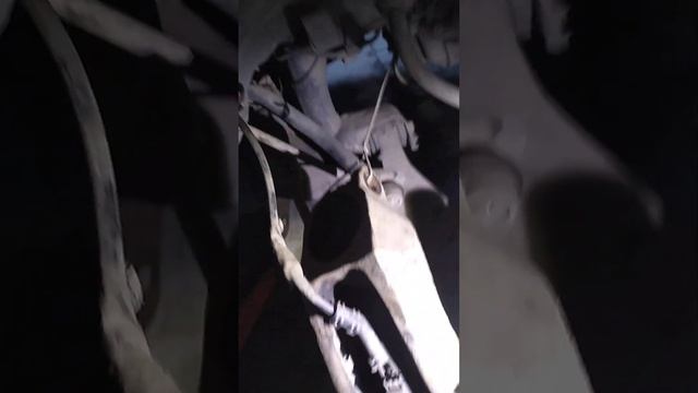 Замена подвесного подшипника правого привода Ford Focus своими руками смотреть онлайн