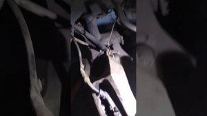 Замена подвесного подшипника правого привода Ford Focus своими руками