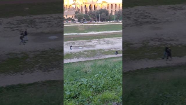 Рим. Большой цирк, Педагогиум, храм Аполлона, термы Массенцио смотреть онлайн