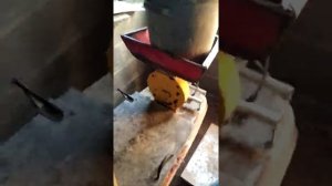 Комбикорм для быстрого роста свиней! Зерно и соевый шрот ❗