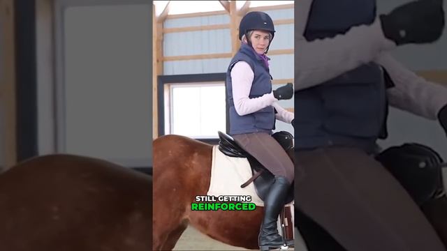 Unlocking Communication Effective Horse Training Techniques #equestrian #horseeducation смотреть онлайн