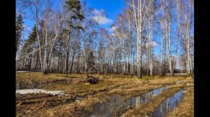 22 марта праздник Сороки, Сорок сороков. Обязательно сегодня сделайте поклон 40 раз. Приметы дня.