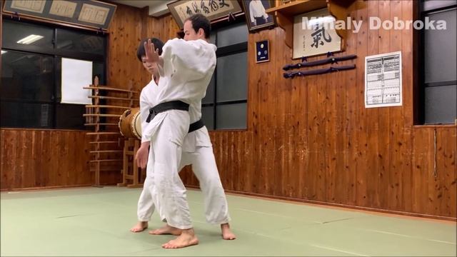 Ushiro Otoshi Tutorial - Advanced Aikido Ukemi смотреть онлайн