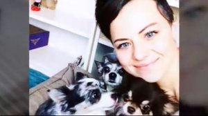 Меджик Петс раньше & сейчас 📆🐶🐱🔮(фан Ани Меджик)