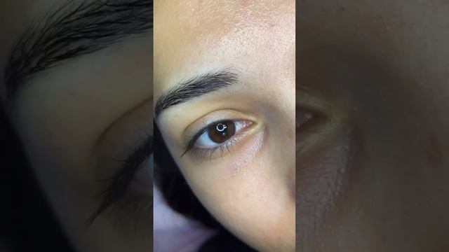Американское наращивание ресниц в изгибе М #ресницыспб #ресницы #2d #3d #эффект #эффектким #эффекты