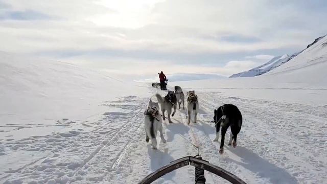 Аляска. Интересные факты про Аляску