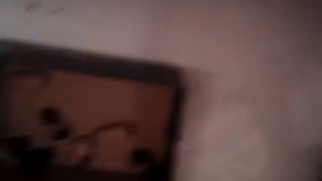 Моем хомяков🐹🌾🍞🌽 смотреть онлайн