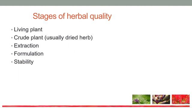 Branching Out with Medicinal Plants смотреть онлайн