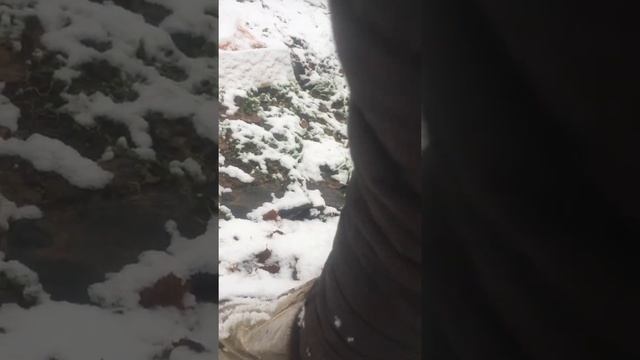 проверка дачи перед зимой. смотреть онлайн